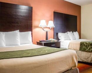 Rodeway Inn Macarthur Airport Ronkonkoma Værelse billede